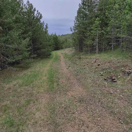 Studenac Златибор