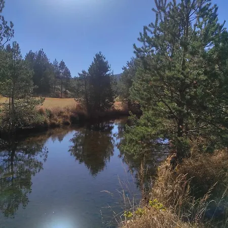 Studenac * Златибор