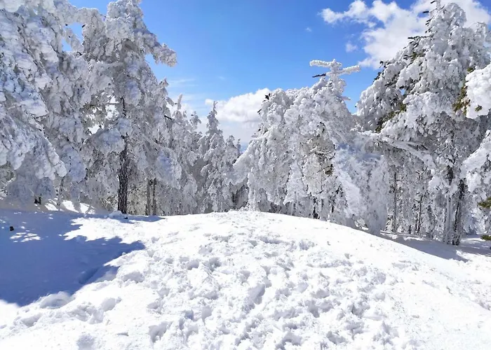 公寓 Studenac 兹拉蒂博尔