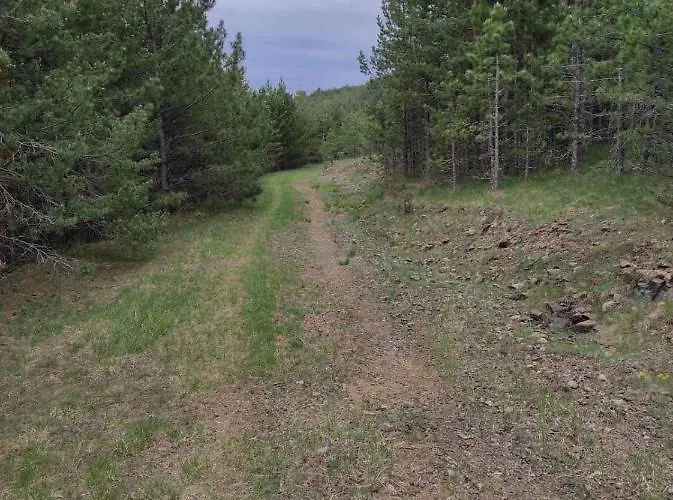 Studenac 兹拉蒂博尔